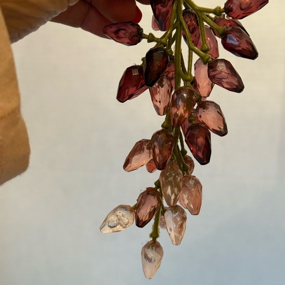 Vines of grapes - Picture 6 of 8